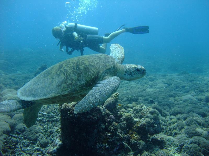 Ricel Homestay Gili Trawangan Eksteriør bilde